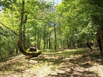 Homestay for rent in Saverdun - photo 7-7