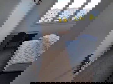 Colocation Angers 634426-4