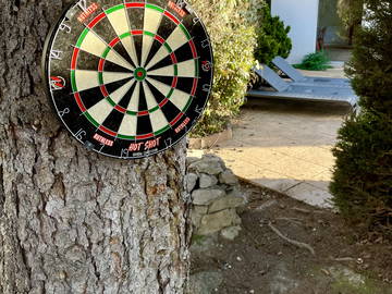 Coliving à louer à Annemasse - photo 23 : jardin-23