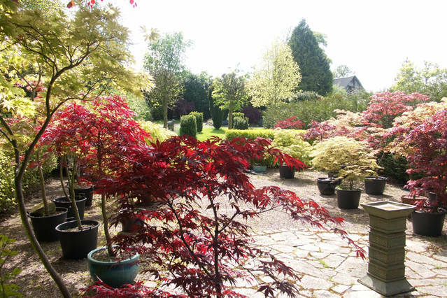 Logement Entier Morigny 181591