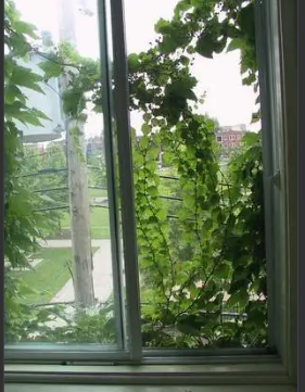 Chambre Chez L'habitant Montréal 347042