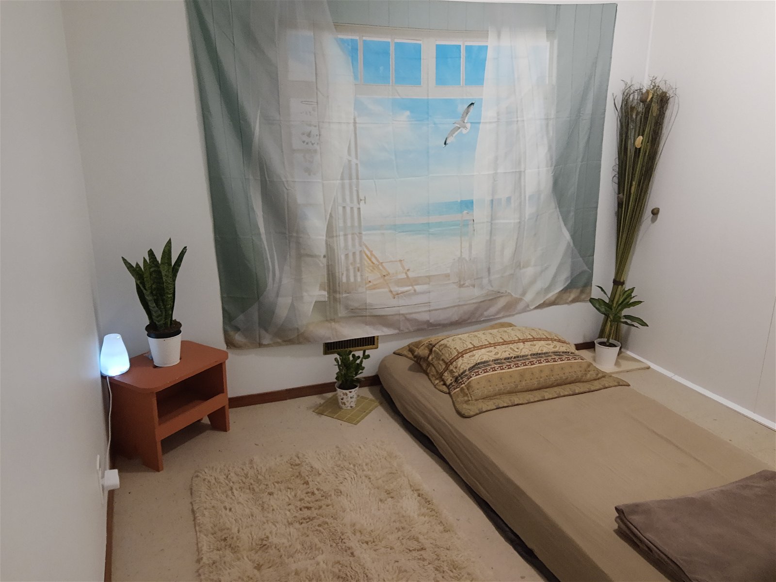 Chambre Chez L'habitant Calgary 263864