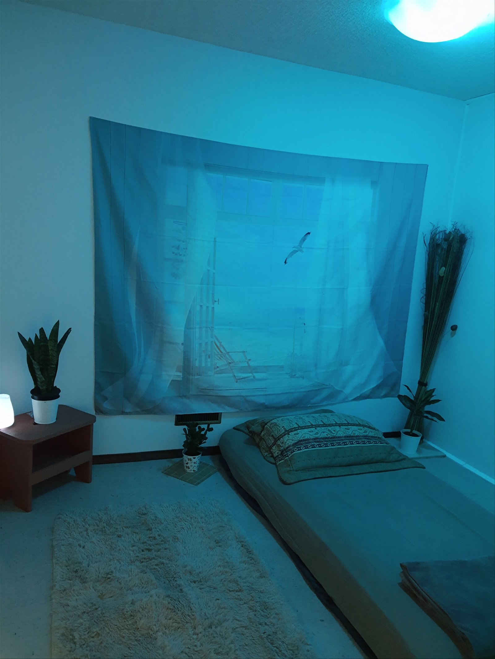 Chambre Chez L'habitant Calgary 263864