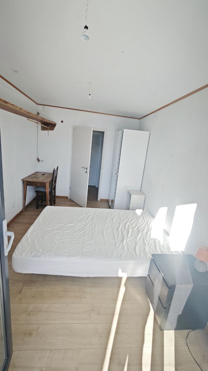 Colocation Lausanne 673438