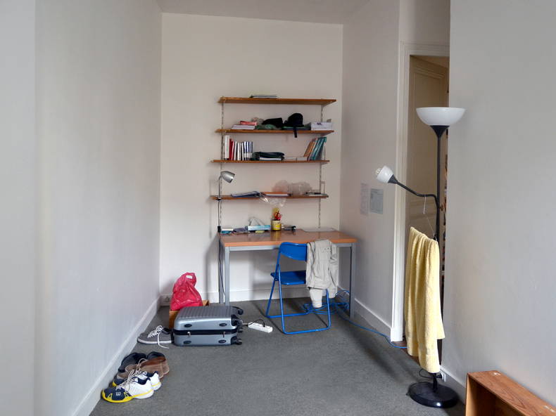 Kolokasie Paris 117259-3