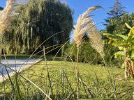 Coliving Ville-la-Grand 248638-4