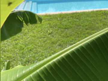 Coliving in affitto a Ville-La-Grand - foto 14 : piscina-14