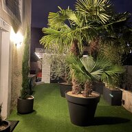 Coliving Ambilly 363910