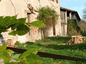 Chambre chez l'habitant à louer à Saverdun - photo 7 : jardin-7
