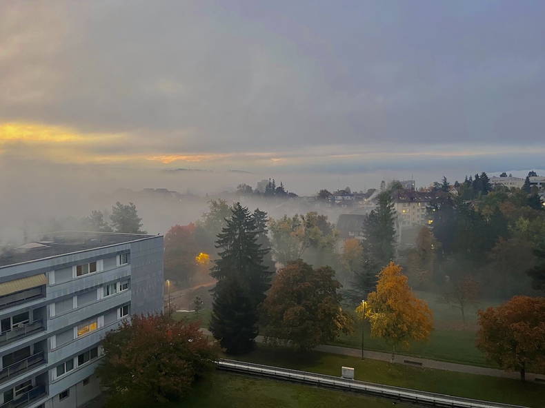 Shared Housing Fribourg 677885-3