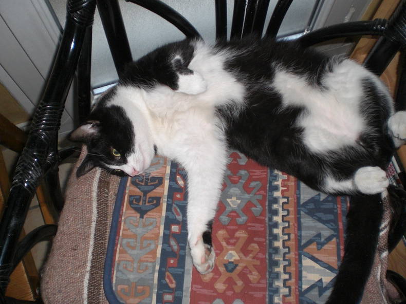 Colocation Chambery 3616-2