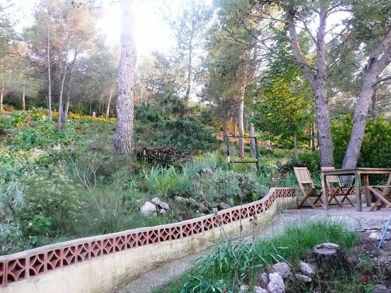 Kolokasie Grabels 82020-4