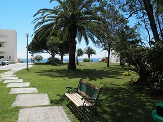 Toda La Casa Lagos 254569