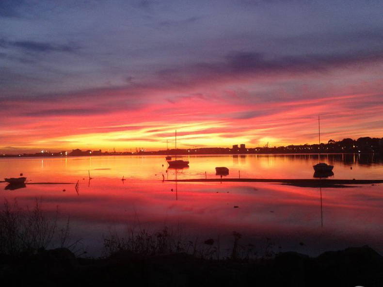 Colocation Sète 149194-2