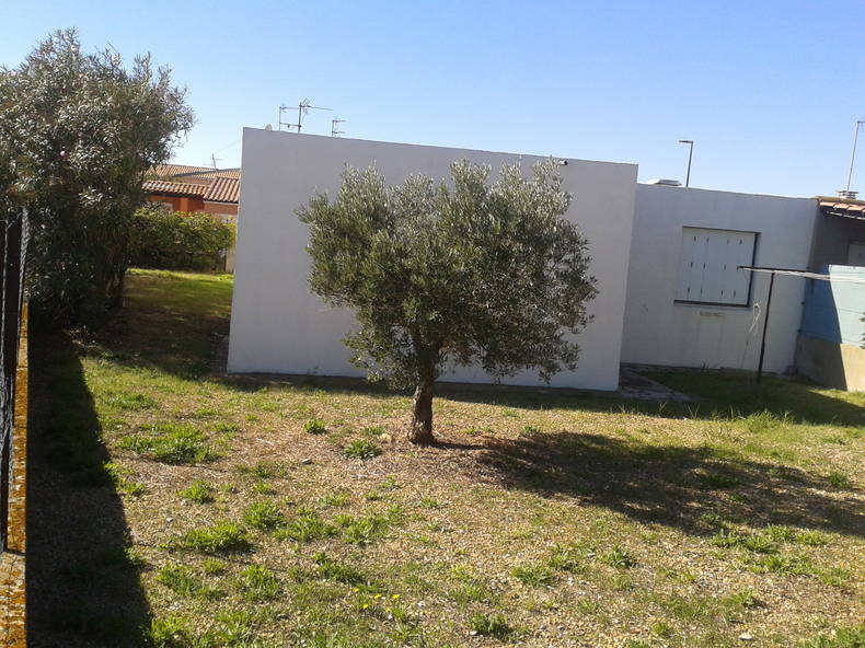 Colocation Sète 149194-5