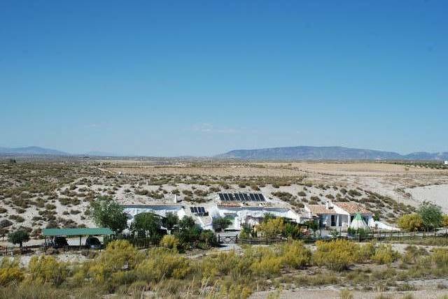 Unabhängiges Studio Baza 178664