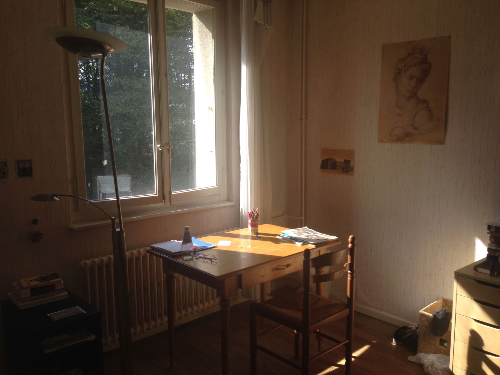 Colocation Vernier 175198