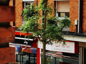 Chambre Chez L'habitant Oviedo 219208-12