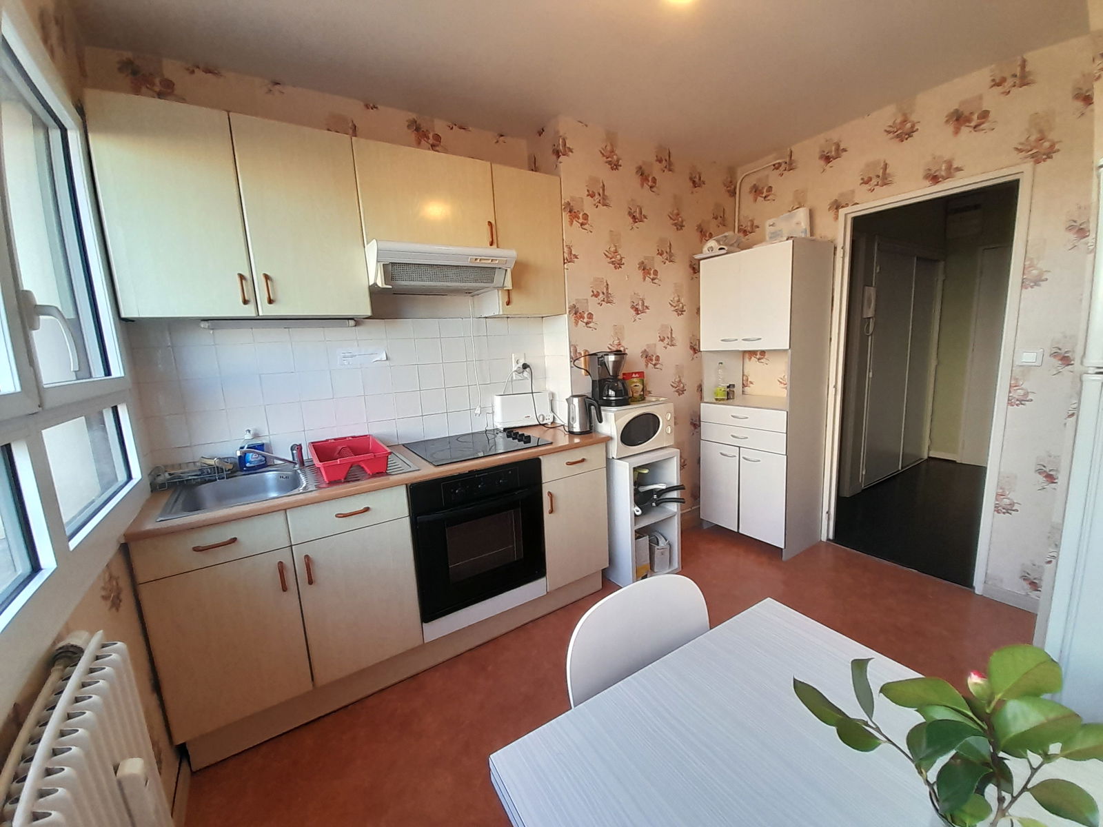 Kolokasie Rennes 236595