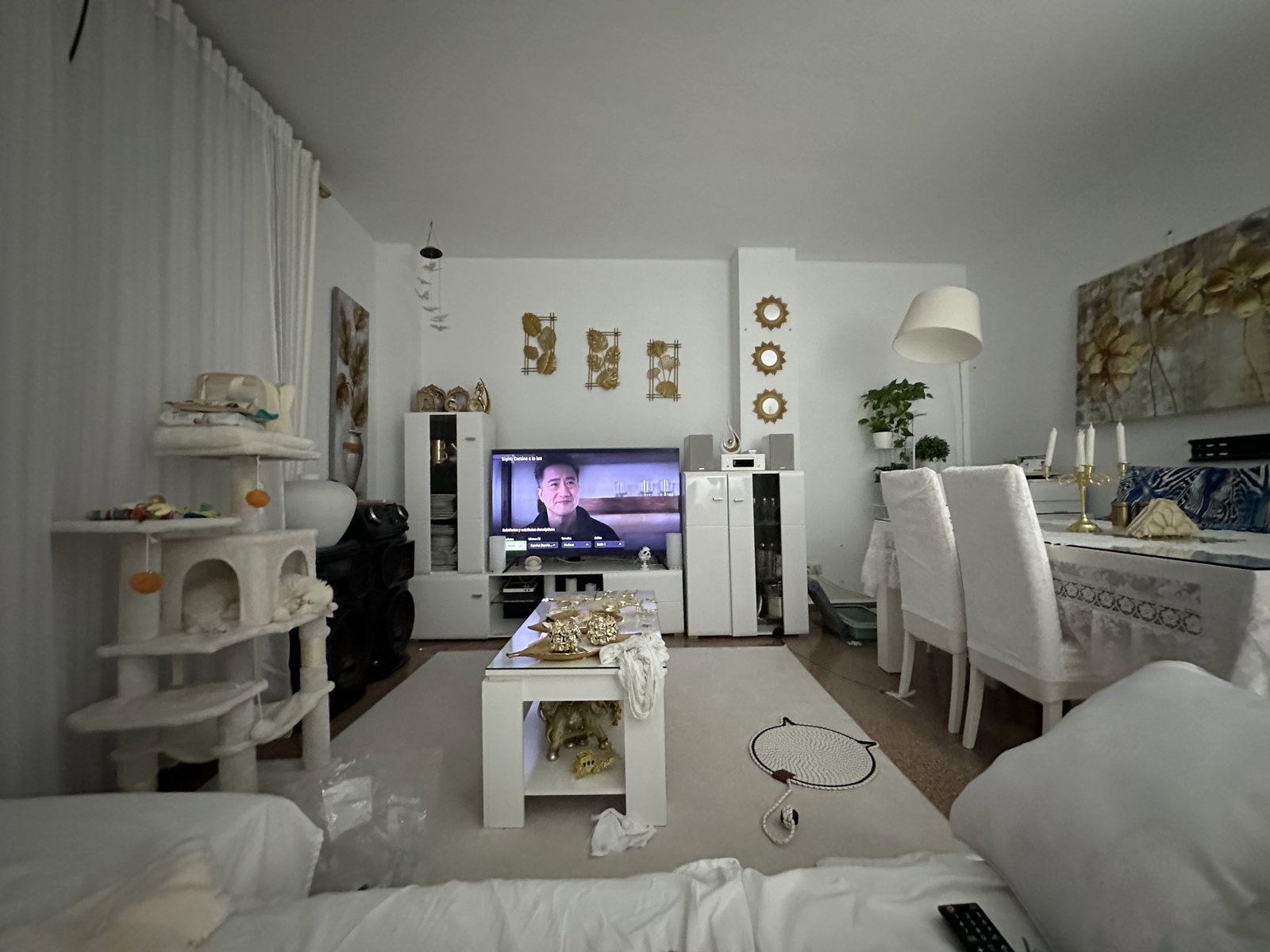 Homestay Salt 635612