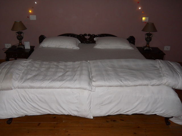Homestay Chail 15943