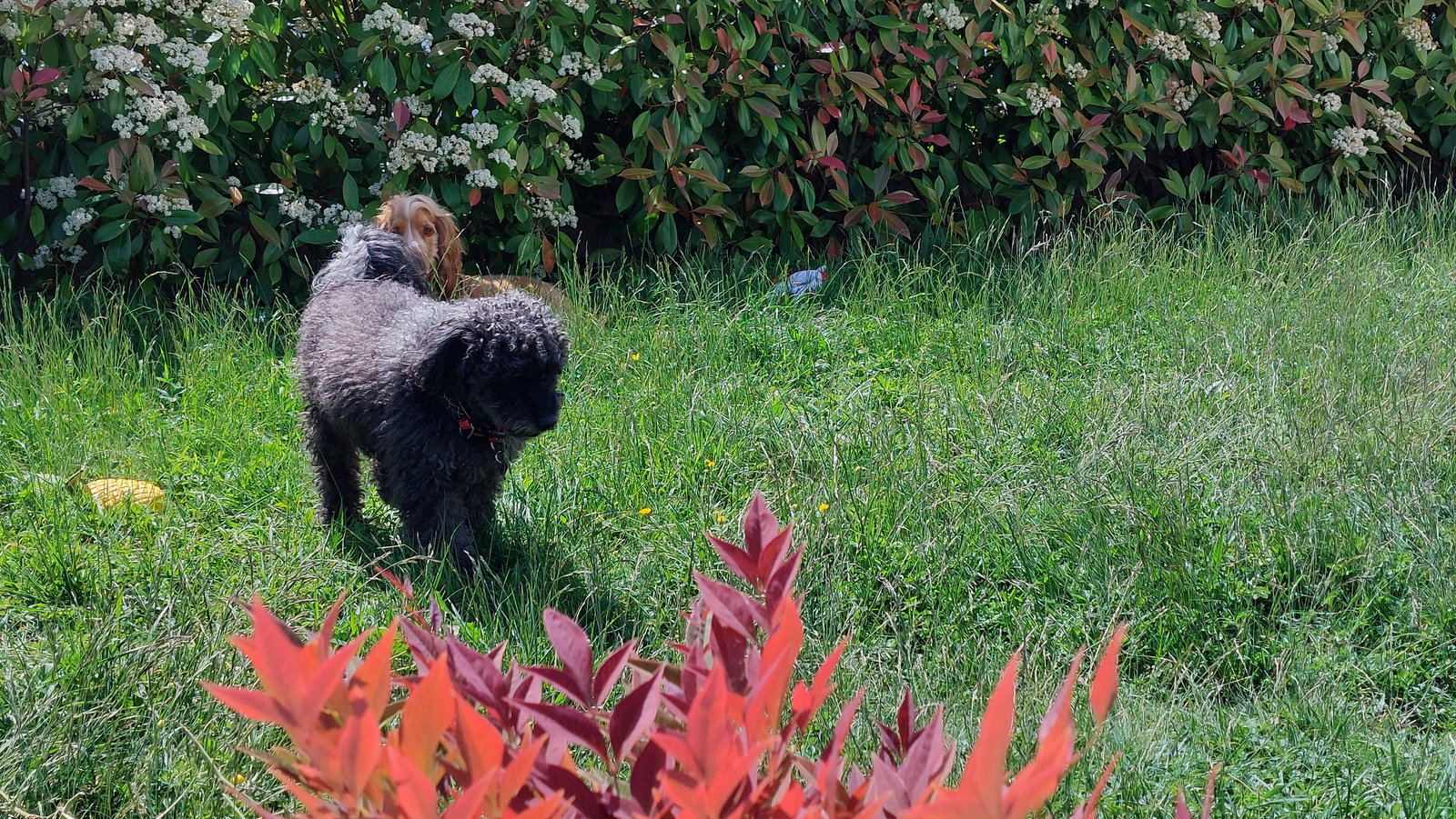 Gastfamilie Guénange 664043