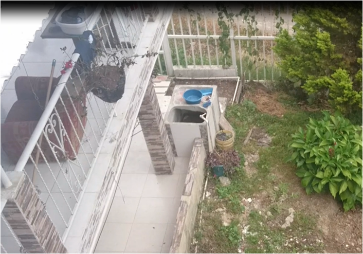 Kolokation Fusagasugá 235358