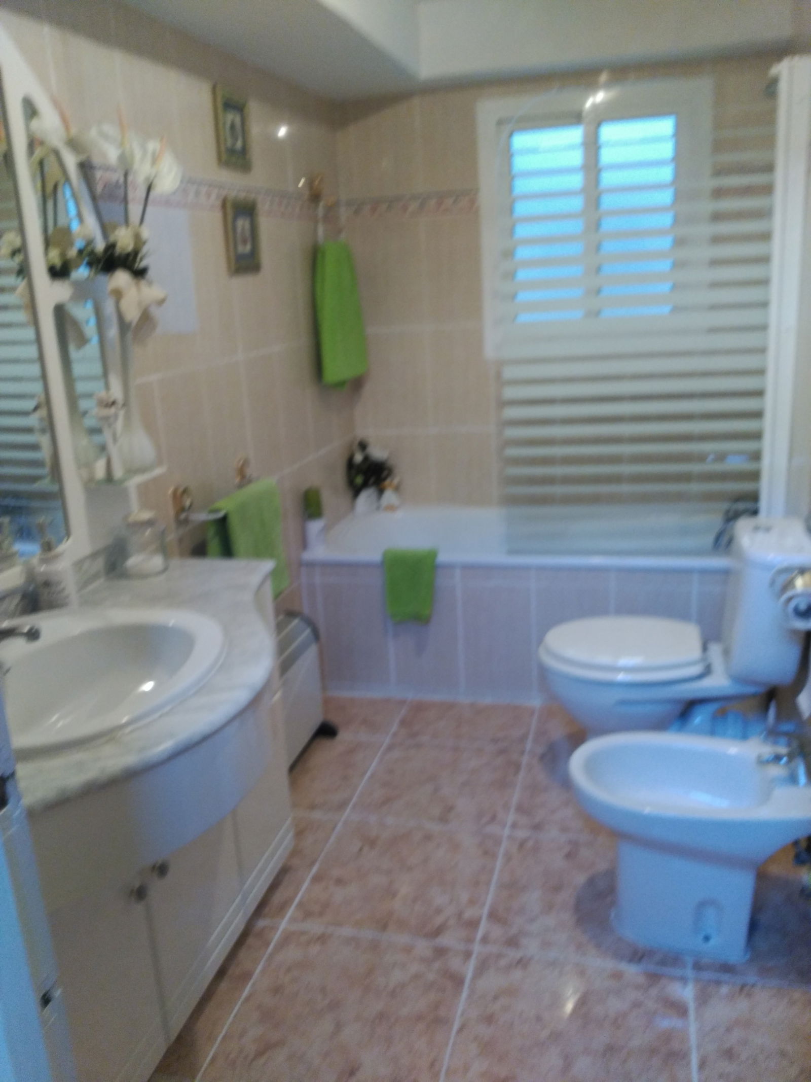 Gastfamilie Alacant 222295