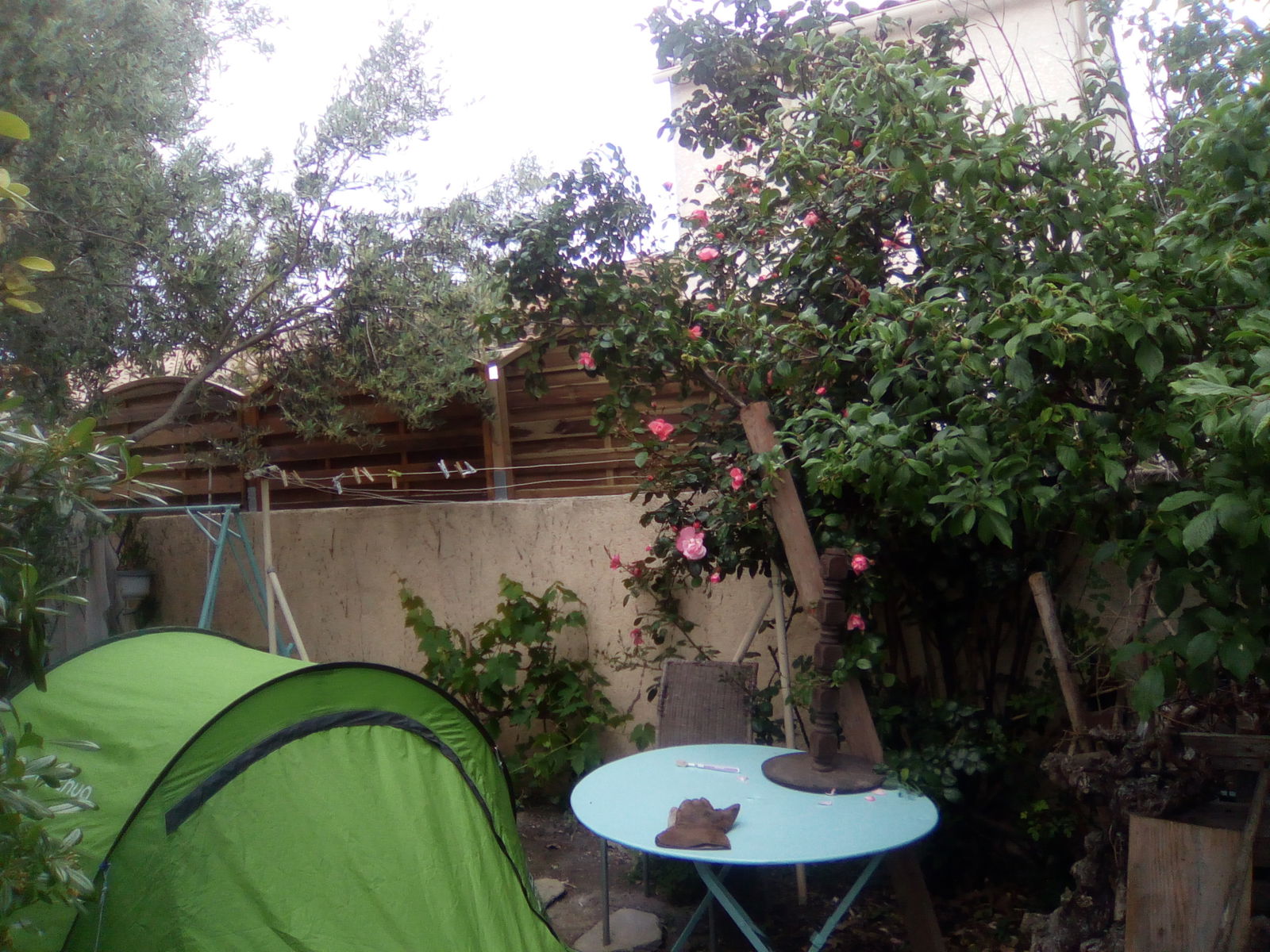 Gastfamilie Palavas-les-Flots 255219