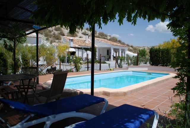 Independent Studio Baza 178664