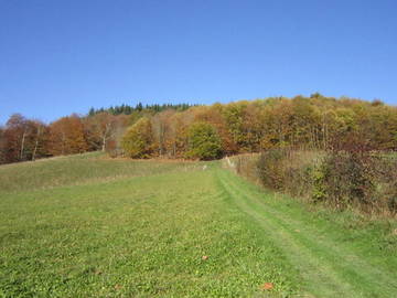 Chambre D'hôte Oloron-Sainte-Marie 59282-8
