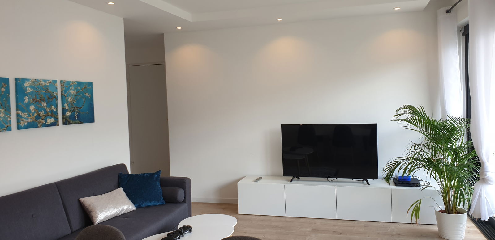 Colocation Massy 229202