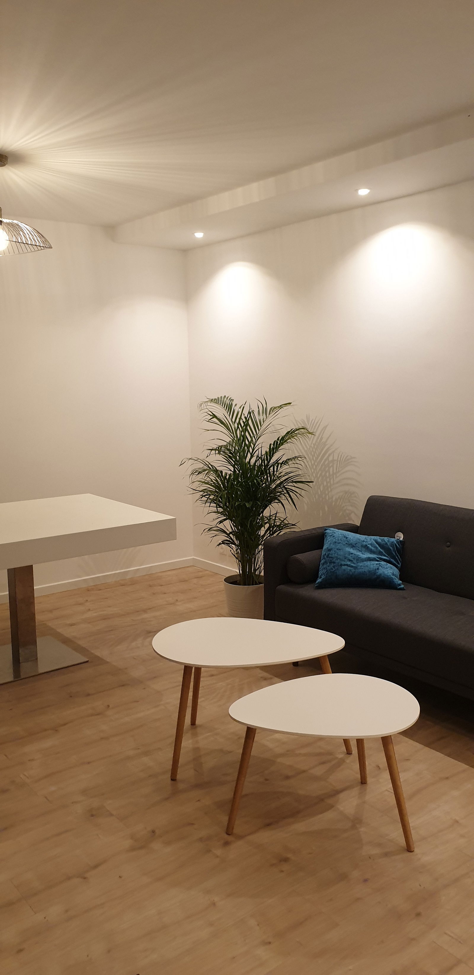 Colocation Massy 229202