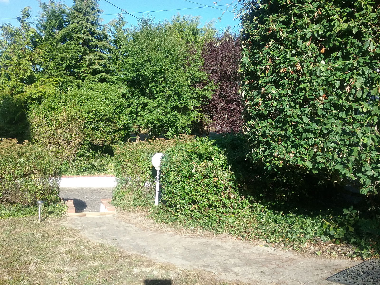 Homestay Limeray 263277