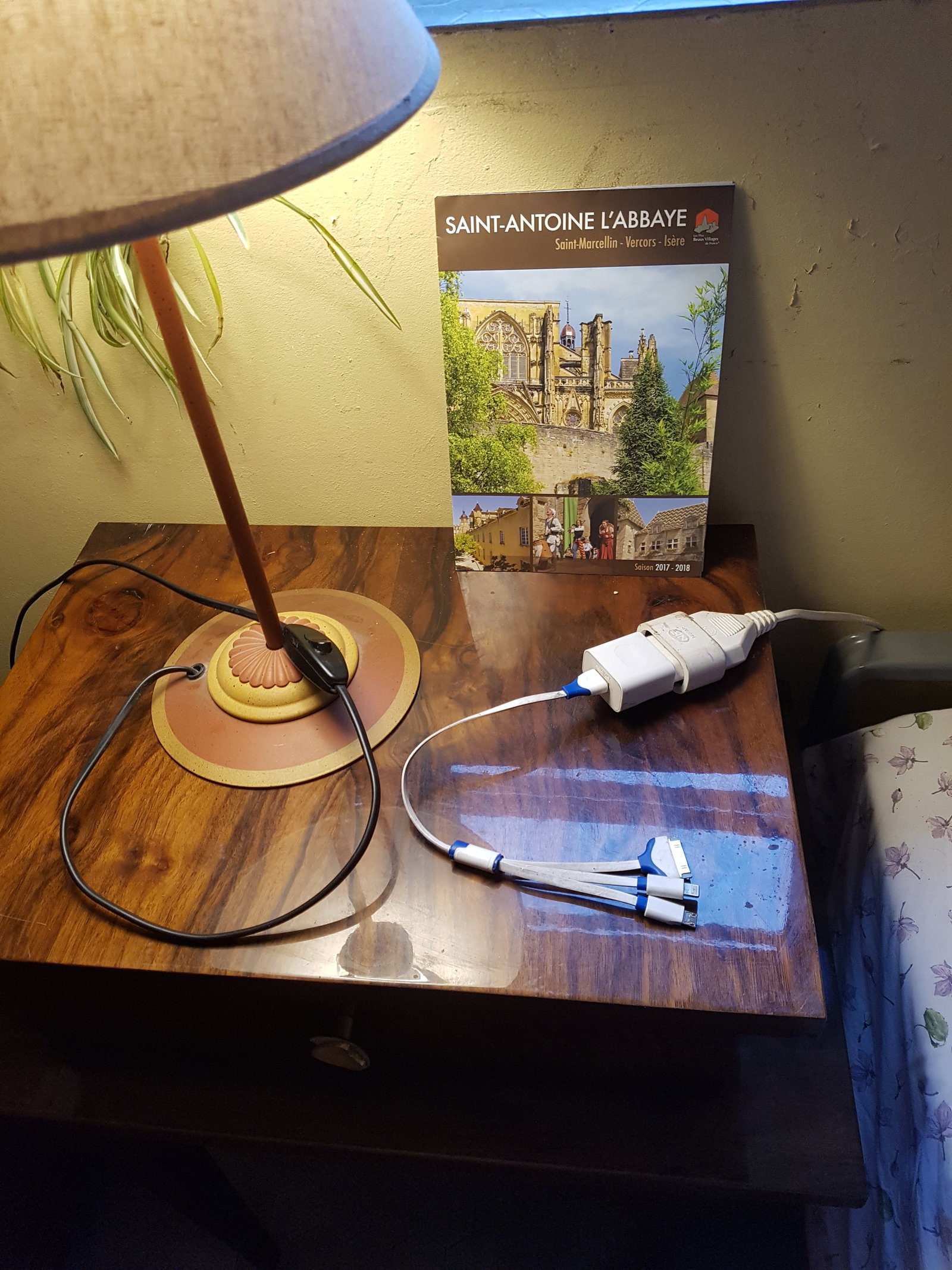 Colocation Saint-Antoine-l'Abbaye 486556