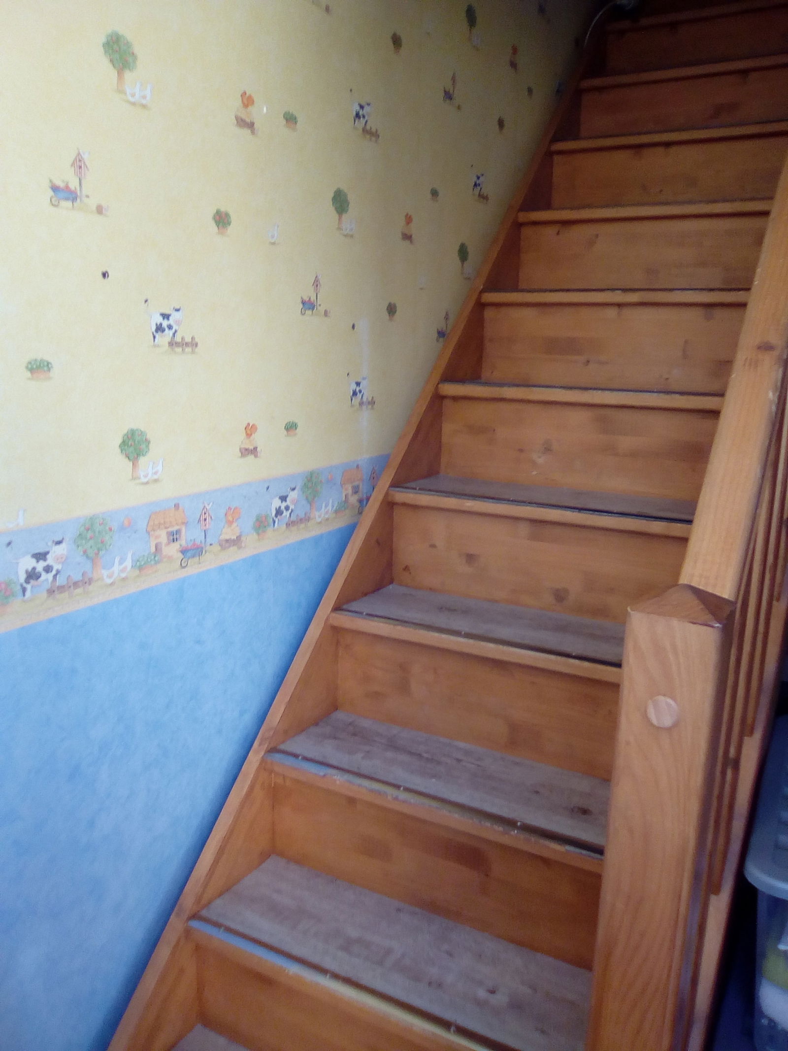 Homestay Seur 177787