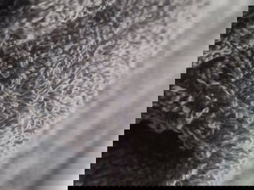 Logement Entier Saumur 661023-13