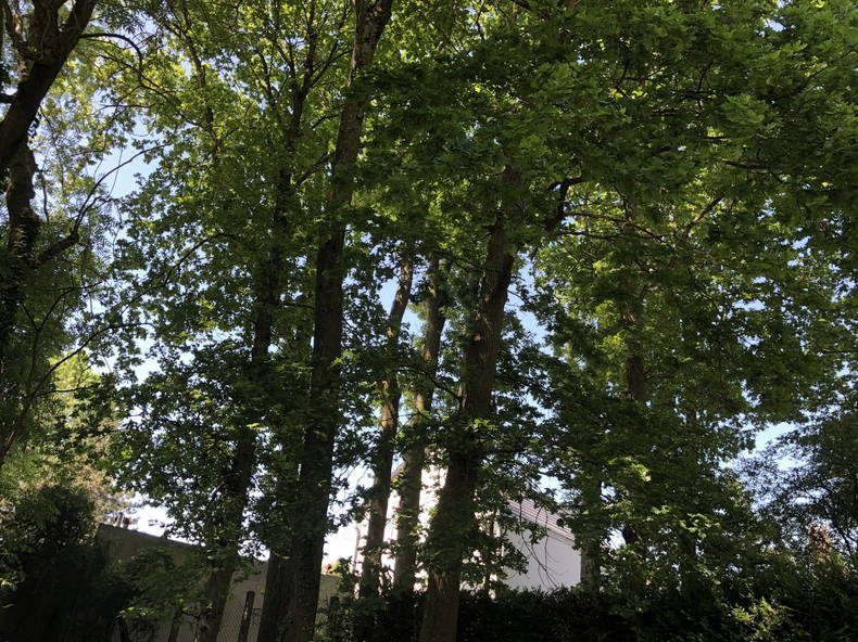 Gastfamilie Noisy-le-Grand 250063-2