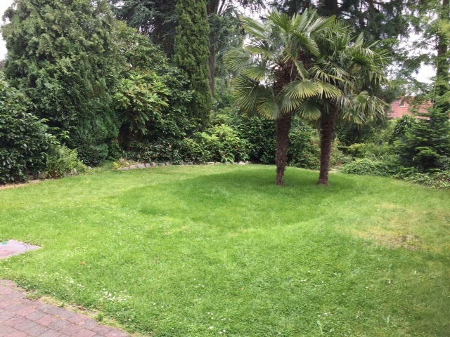 Colocatie Zaventem 149699