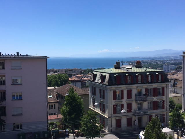 Kolokation Lausanne 172875-4