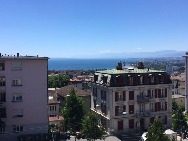 Colocación Lausanne 172875