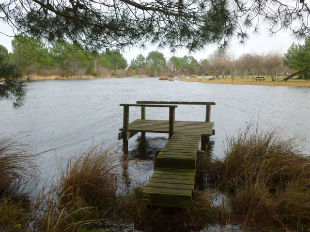 Unabhängiges Studio Hourtin 193456