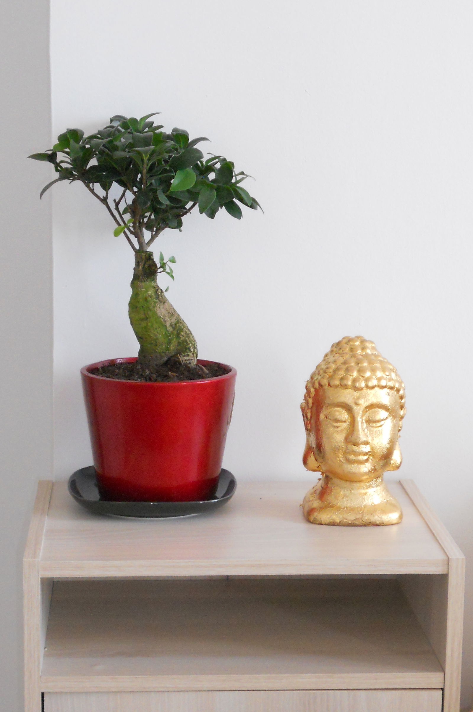 Niezależne Studio Paris 132894