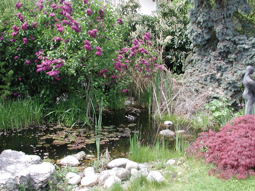 Zakwaterowanie U Rodziny Renens 660386