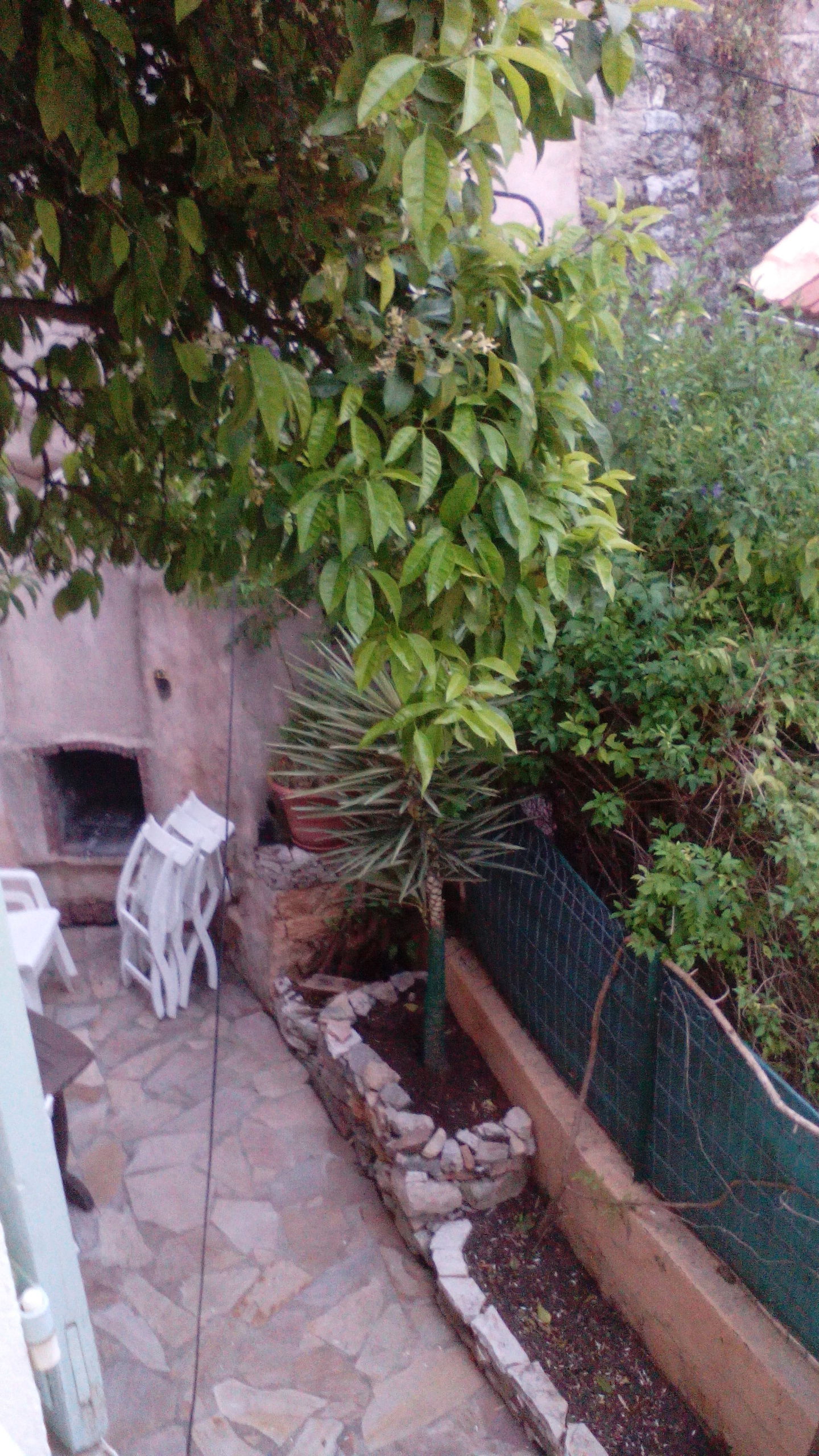 Oberoende Studio Cuers 88793