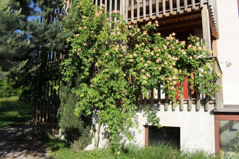 Oberoende Studio Cologny 208024