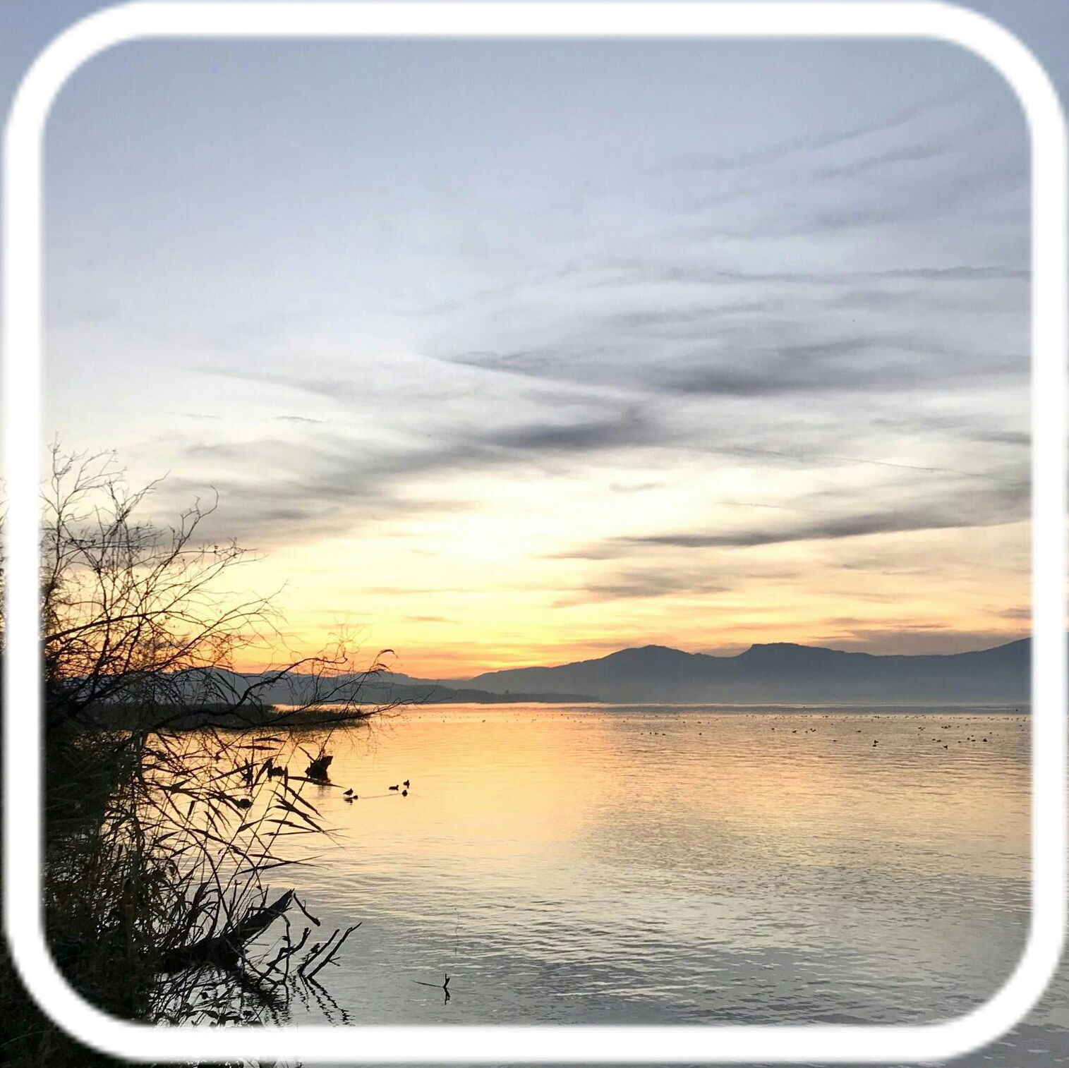 Hemvistelse Cheyres-Châbles 631112