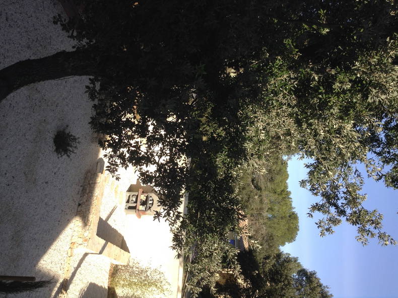 Gastfamilie Garrigues-Sainte-Eulalie 188351-4