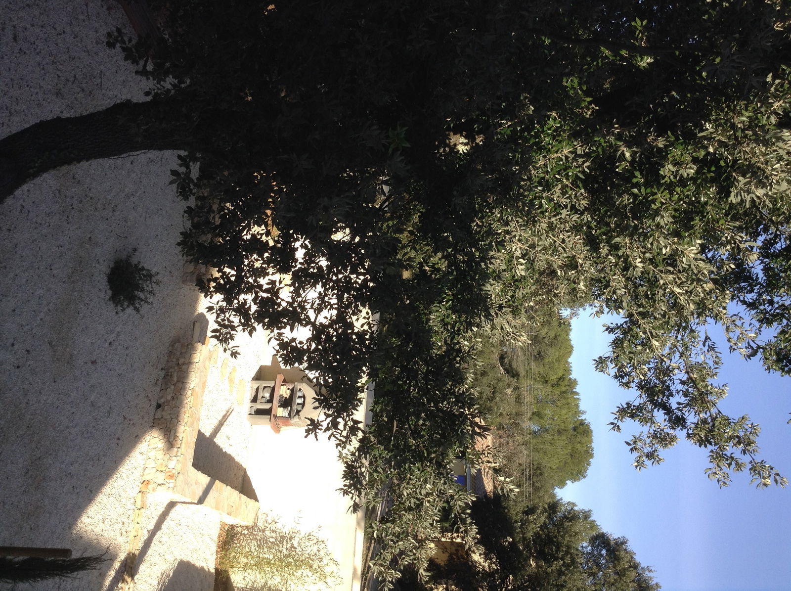 Homestay Garrigues-Sainte-Eulalie 188351