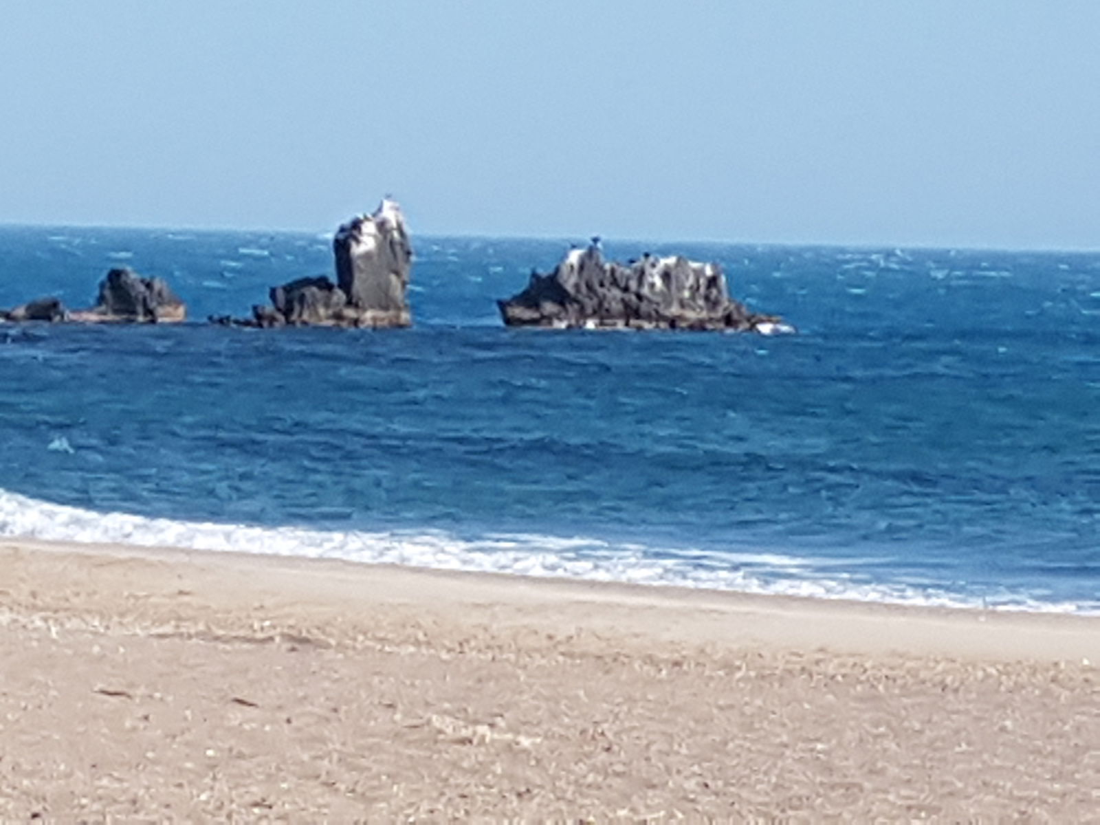 Estudio Independiente Agde 316897